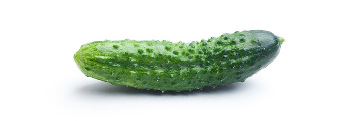 Ripe fresh green cucumber isolated on a white background