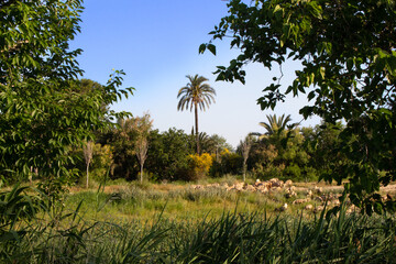 Vega Baja del Segura - Paisajes de huerta y entorno de Orihuela Ciudad