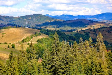landscape with trees and mountains