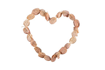 Valentine’s day background with bougainville petals forming a heart.