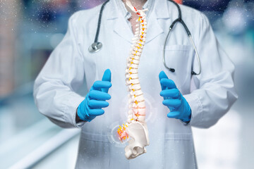 Concept of diagnosis and treatment of diseases of the spine and intervertebral joints.