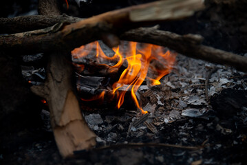 The fire is burning. Bonfire. Nature. Fire.