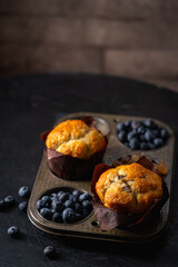 homemade muffin with blueberries