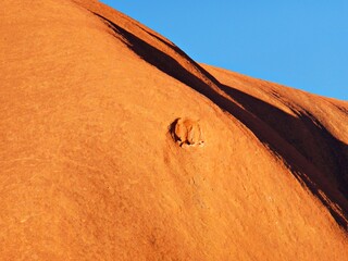 Fototapeta na wymiar Australisches Outback
