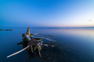 Beautiful  long exposure lake landscape.  Sunset over lake, old dry tree in the water.