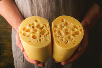 Hands of man hold two big slices of cheese maasdam against background of old wooden wall in cheese...