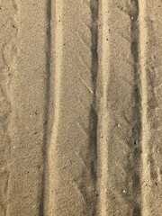 tracks in sand