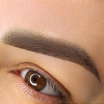 permanent eyebrow makeup close-up eyebrow tattoo made in powder technique