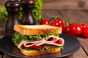 Close-up photo of an American club sandwich. Fast food concept. 