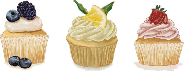 Set of Fruit Cupcake Hand-drawn Watercolor Illustration