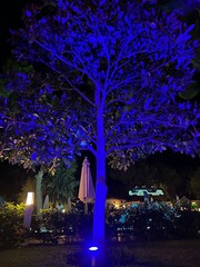 Blue Tree