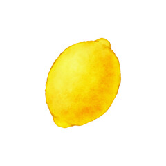 Lemon watercolor digital illustration. Lemon.  PNG. Transparent background.