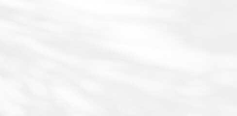 Fototapeta premium Abstract blurred background. The shadow reflection of leaves and gray light lines. on the white surface concrete wall. for wallpaper, backdrop and design.