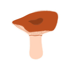 Vector image of a mushroom isolated on a white background. Porcini mushrooms, chanterelles, honey mushrooms, mushrooms, toadstools, morels. Cartoon style.