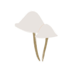 Vector image of a mushroom isolated on a white background. Porcini mushrooms, chanterelles, honey mushrooms, mushrooms, toadstools, morels. Cartoon style.