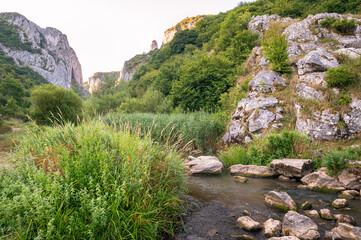 Fototapeta na wymiar Scenic view of a brook near Turda gorge in Transylvania, Romania