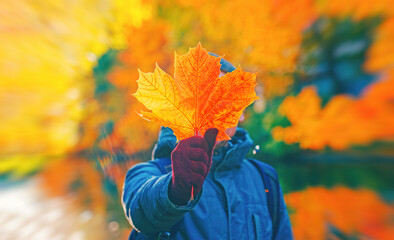 Man holding red autumn leaf in hand closeup. Maple fall leaves in park. Hello october concept...