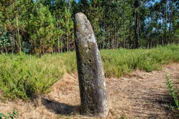 like a pilgrim doing the camino portugues to santiago