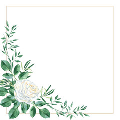 Greeting card with white rose and rustic greenery. Watercolor square frame. Hand drawn botanical illustration isolated on white background. Can be used as invitation card for wedding, birthday and