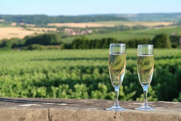 Deux verres à vin (flûtes / coupes) remplis de champagne, devant un paysage de vigne dans la Marne, en Champagne Ardenne, région Grand-Est (France)