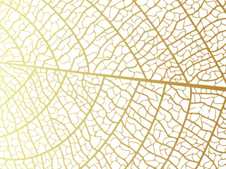 Vector illustration of gold leaves. Patterns of skeletal leaf cells, foliage branches, leaf veins for creative banner design.