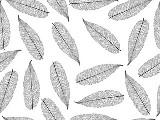 Vector illustration of leaves. Patterns of skeletal leaf cells, foliage branches, leaf veins for creative banner design.