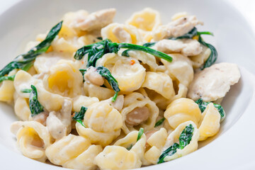 pasta with chicken meat, spinach and chick peas