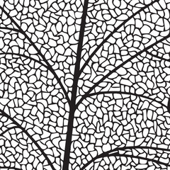 Obraz premium Vector illustration of leaves. Patterns of skeletal leaf cells, foliage branches, leaf veins for creative banner design.