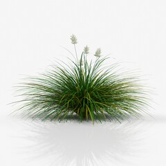 3d rendering of a bush, tall grass