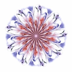 Obraz premium Symmetrical fractal flower, digital artwork for creative graphic