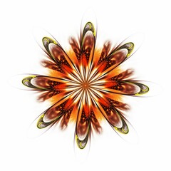 Symmetrical fractal flower, red digital artwork for creative graphic