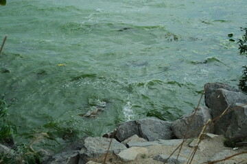 
Sunny day at an artificial quarry with emerald water. A beautiful location for a picnic and outdoor recreation, a stone shore, a deep quarry, a place for fishing
