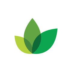 Green leaf logo