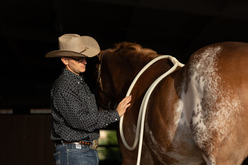 Paint horse Pulsed Electromagnetic Field therapy PEMF