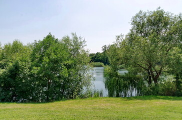 Springtime green on a fresh trees and lake in residential district Drujba, Sofia, Bulgaria 