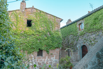Fototapeta premium Ancient buildings of bricks of stones in sunny summer day on a background of the sky with lots of greenery in a courtyard and partially overgrown walls by climbing plants.