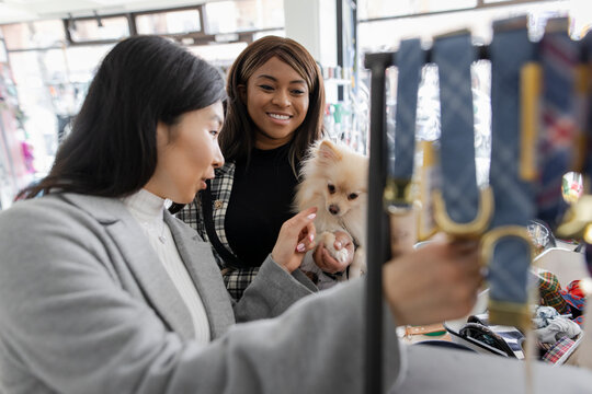 Women with cute dog shopping for collars in pet store