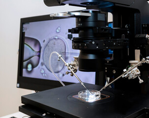 Modern IVF micromanipulator with Petri Dish in the laboratory of the in vitro fertilization. for...
