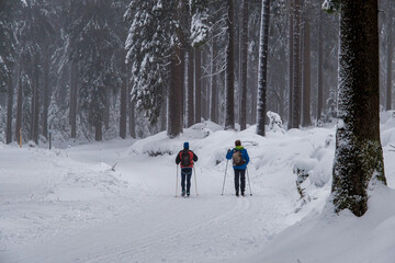 Skier in windbreaker and hat with pompom with ski poles in his hands with his back against the background of a snowy forest. Cross-country skiing in winter forest, outdoor sports, healthy lifestyle.