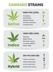 Cannabis info green