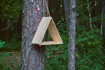 Suspended from a tree in the forest is a triangular wooden feeder. The relationship between humans and animals. Bird and rodent feeder