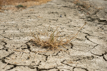 dry parched cracked earth, result of global warming, ecology