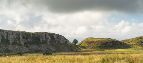 Sycamore Gap, an iconic lone tree on the Hadrian's Wall trail in Northumberland