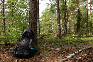 A hiking bag in a forest. Bogesund, Stockholm, Sweden.