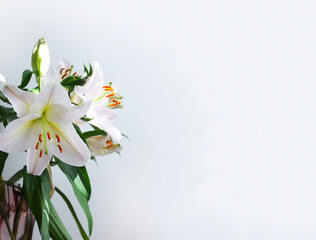 Floral banner. White lilies. 