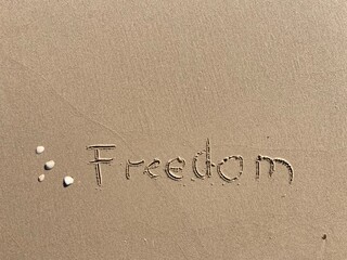 on the beach is carved with letters in the smooth sand the writing freedom