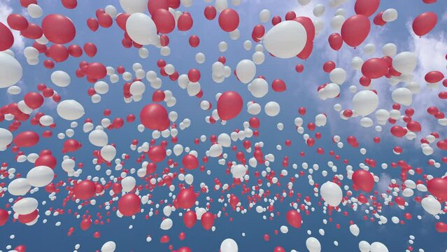 Color Balloons rising up to the sky 3D animation.