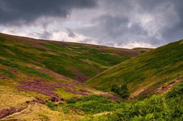Naklejka premium landscape with clouds