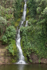 A small waterfall in the Centennial Gardens, Napier, New Zealand.