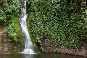 The foot of a small waterfall in the Centennial Gardens, Napier, New Zealand.